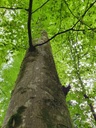 834021214-Toebeli-Buche-Webpage-13-scaled.jpg