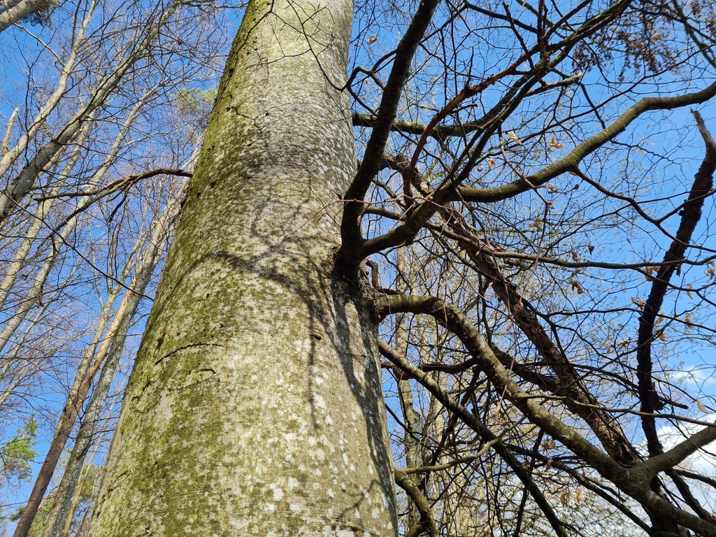 20210410_163538-scaled.jpg