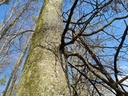 20210410_163538-scaled.jpg