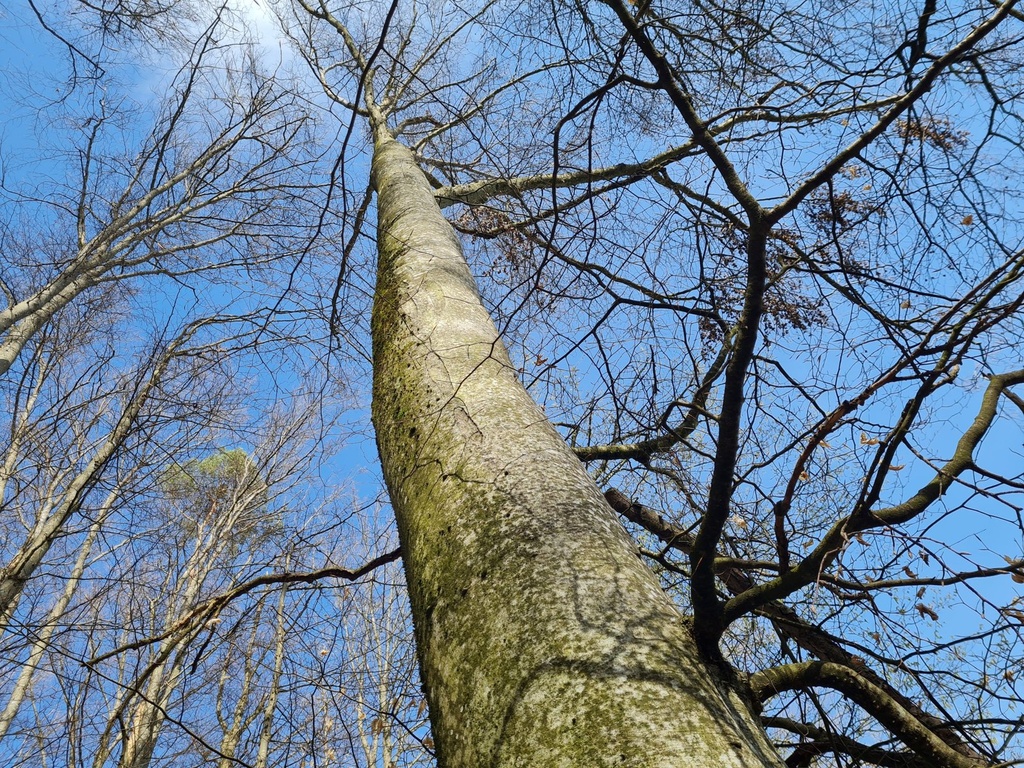20210410_163550-scaled.jpg