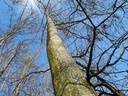 20210410_163550-scaled.jpg