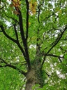 834021211-Miraculix-Webpage-10-scaled.jpg
