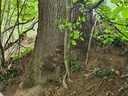 834021211-Miraculix-Webpage-14-scaled.jpg