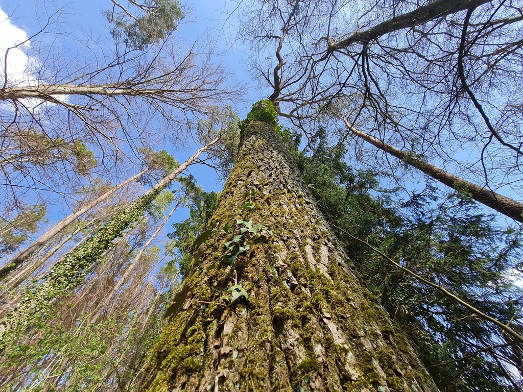 20210410_152522-scaled.jpg
