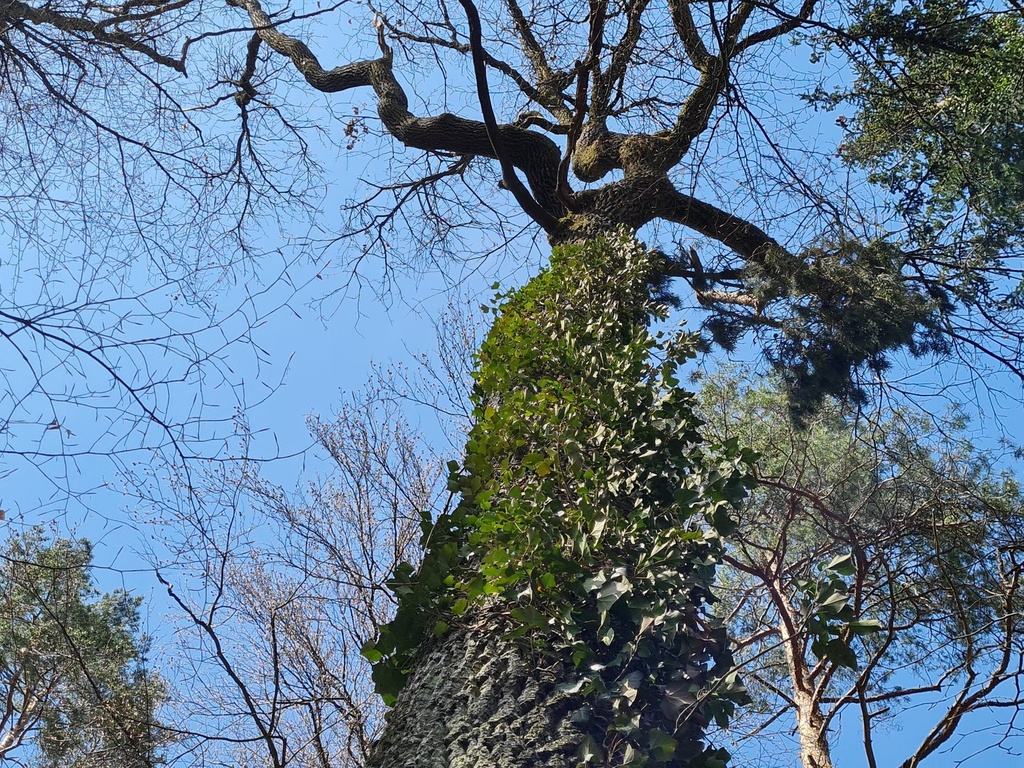 20210410_152557-scaled.jpg