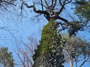 20210410_152557-scaled.jpg