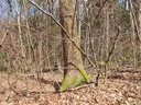 Schleckstaengel-Webpage-2-scaled.jpg