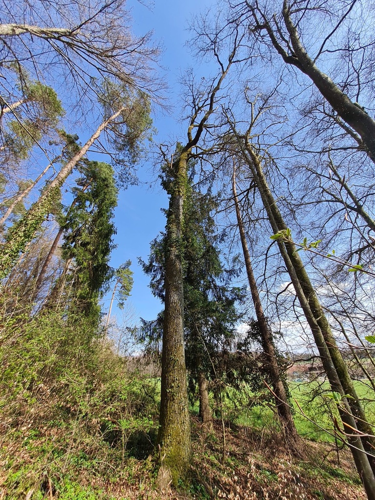 20210410_152635-scaled.jpg