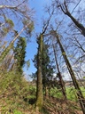 20210410_152635-scaled.jpg