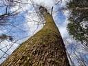 Schleckstaengel-Webpage-3-scaled.jpg