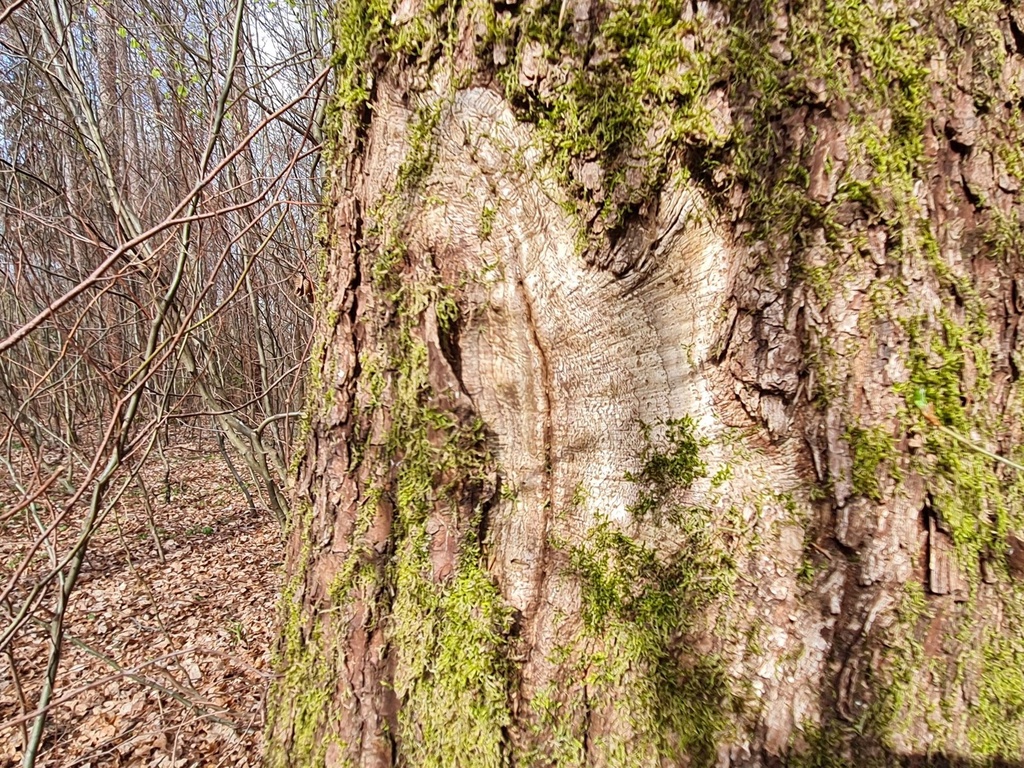 Schleckstaengel-Webpage-4-scaled.jpg