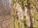 Schleckstaengel-Webpage-4-scaled.jpg