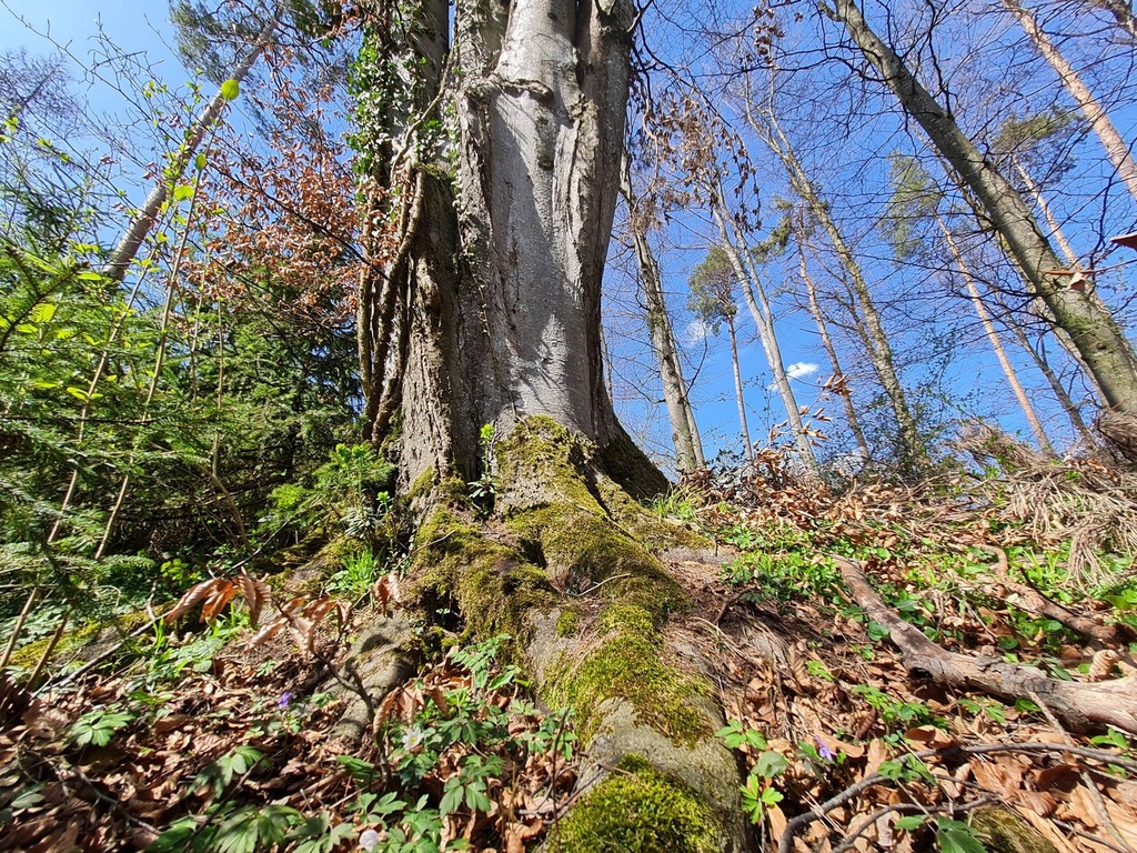 20210410_144231-scaled.jpg