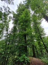 20210805_105246-scaled.jpg