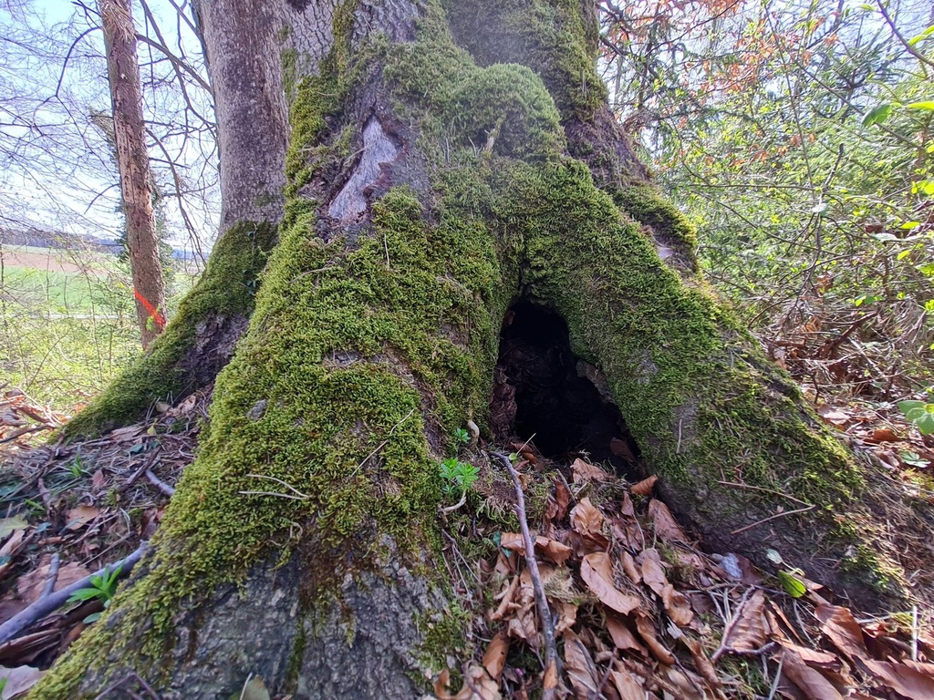 20210410_144338-scaled.jpg