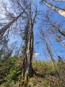 20210410_144407-scaled.jpg