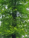 20210805_105342-scaled.jpg
