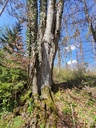 20210410_144442-scaled.jpg