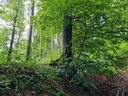 20210805_105448-scaled.jpg