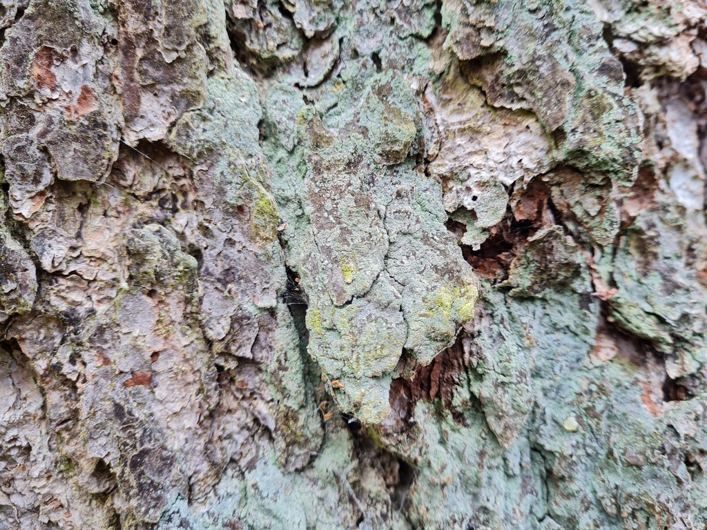 20210414_170608-scaled.jpg