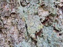 20210414_170608-scaled.jpg