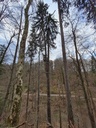 20210414_171049-scaled.jpg