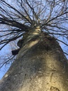 Staemmige-Buche-Webpage-3-scaled.jpg