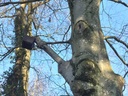 Staemmige-Buche-Webpage-6-scaled.jpg