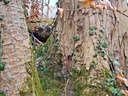 20210414_173906-scaled.jpg