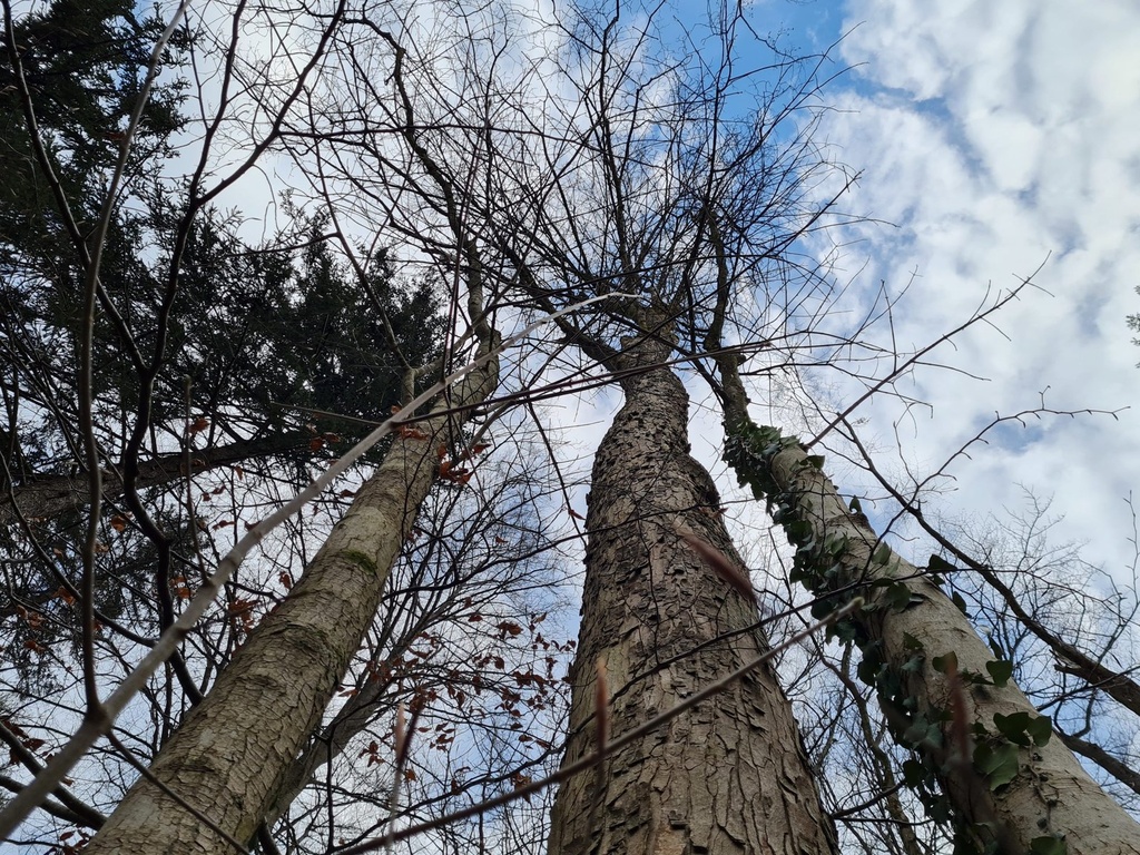 20210414_173937-scaled.jpg