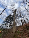 20210414_174001-scaled.jpg