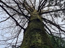 20210410_114701-scaled.jpg