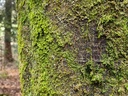 20210410_114738-scaled.jpg