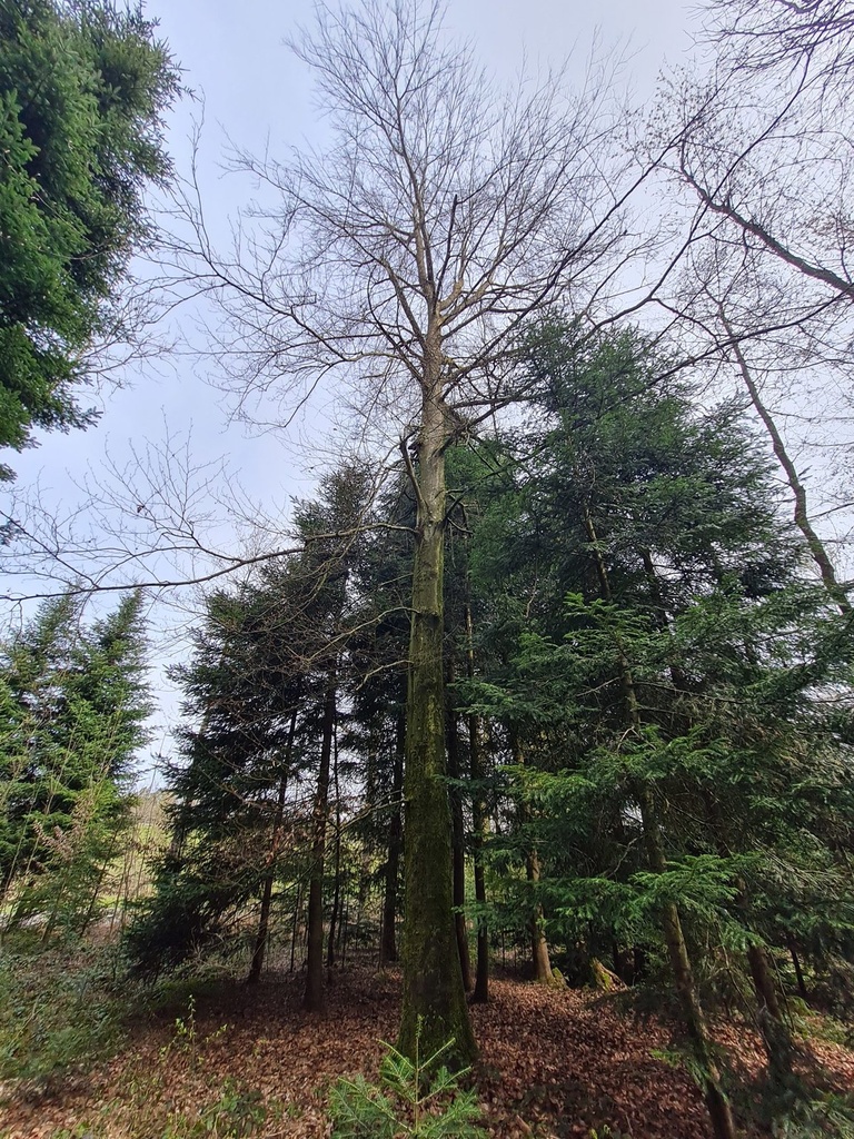 20210410_114841-scaled.jpg