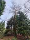 20210410_114841-scaled.jpg