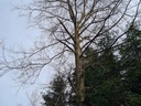 20210410_115034-scaled.jpg