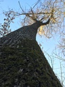 IMG_6076Zapfenziehereiche-EG-scaled.jpg