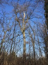 IMG_6083Zapfenziehereiche-EG-scaled.jpg