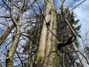 20210414_152824-Drehorgel-webpage-3-scaled.jpg