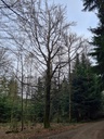 20210410_112022-scaled.jpg