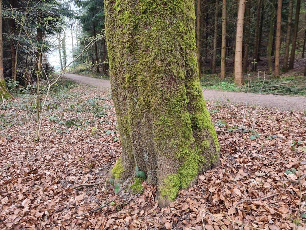 20210410_112706-scaled.jpg