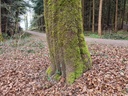 20210410_112706-scaled.jpg