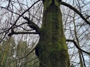 20210410_112833-scaled.jpg