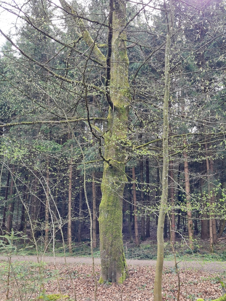 20210410_112939-scaled.jpg
