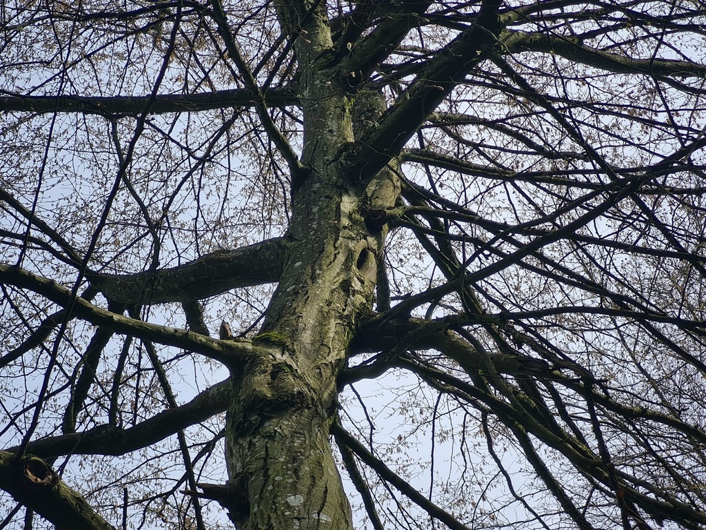 20210410_114032-scaled.jpg
