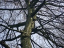 20210410_114032-scaled.jpg