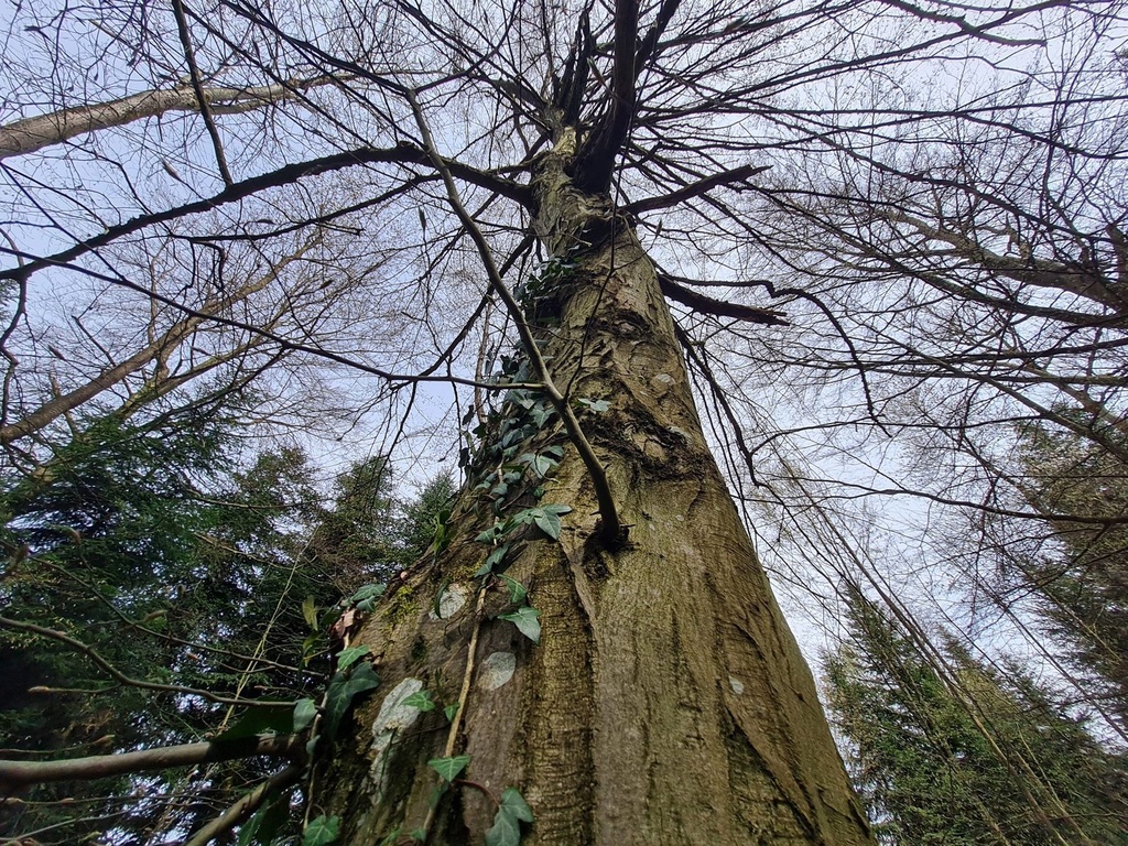 20210410_114100-scaled.jpg