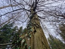 20210410_114100-scaled.jpg