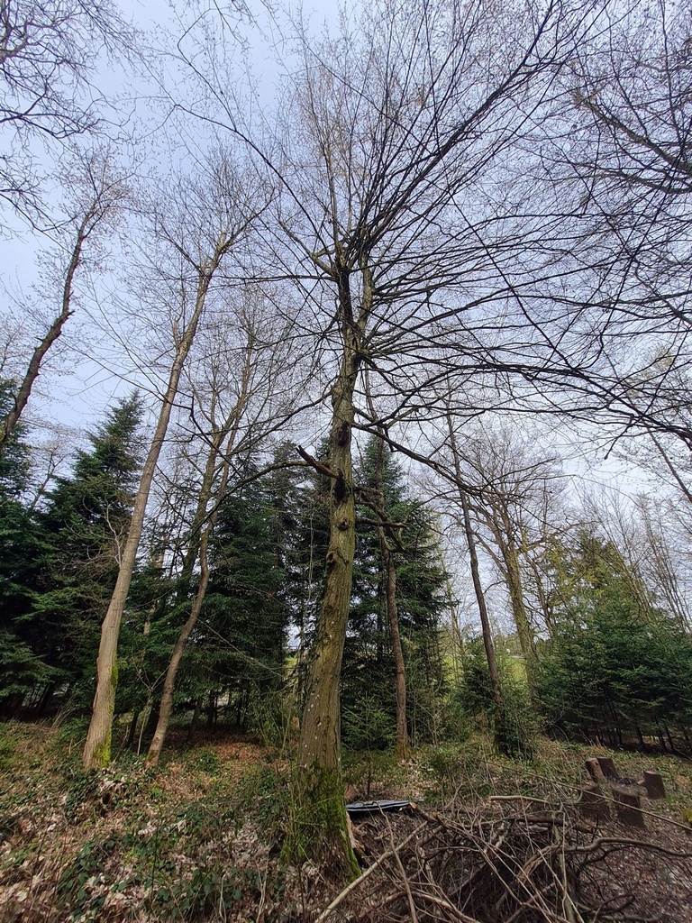 20210410_114245-scaled.jpg