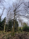 20210410_114245-scaled.jpg